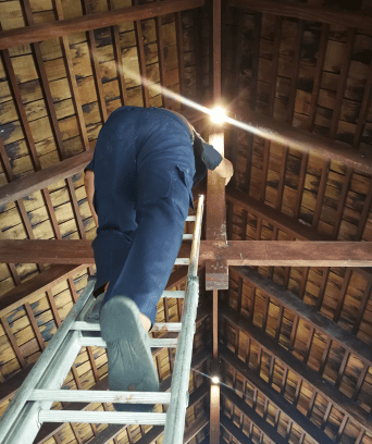 Emergency roof repair image 1