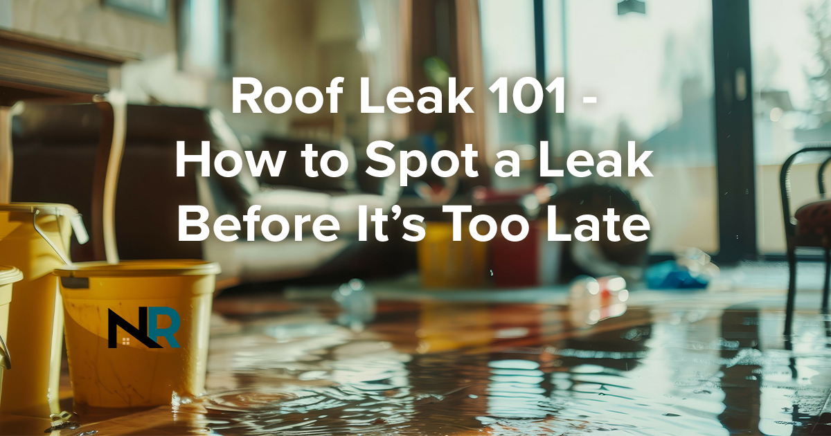 Roof Leak 101 - How to Spot a Leak Before It's Too Late